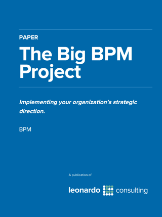 The Big BPM Project Paper